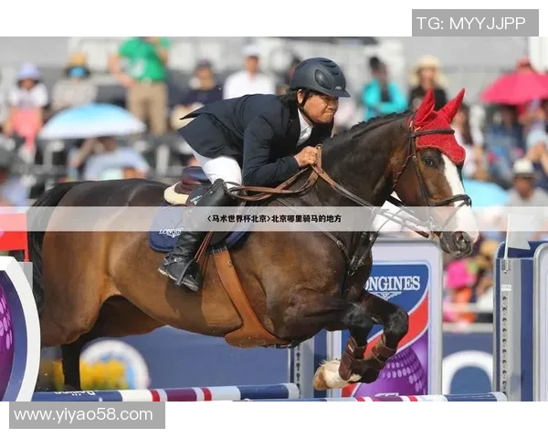 奥运会项目裁判主观评分公正性分析模型及其舆情影响研究